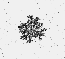 Diffusion Limited Aggregation